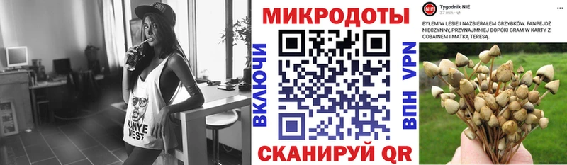 Псилоцибиновые грибы Psilocybe  Купить где  Волжск 